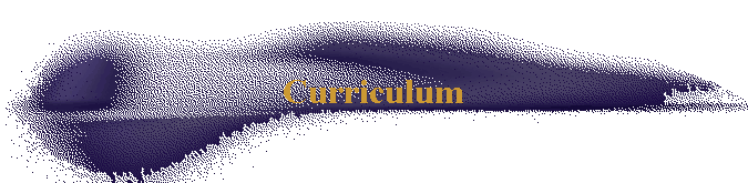 Curriculum